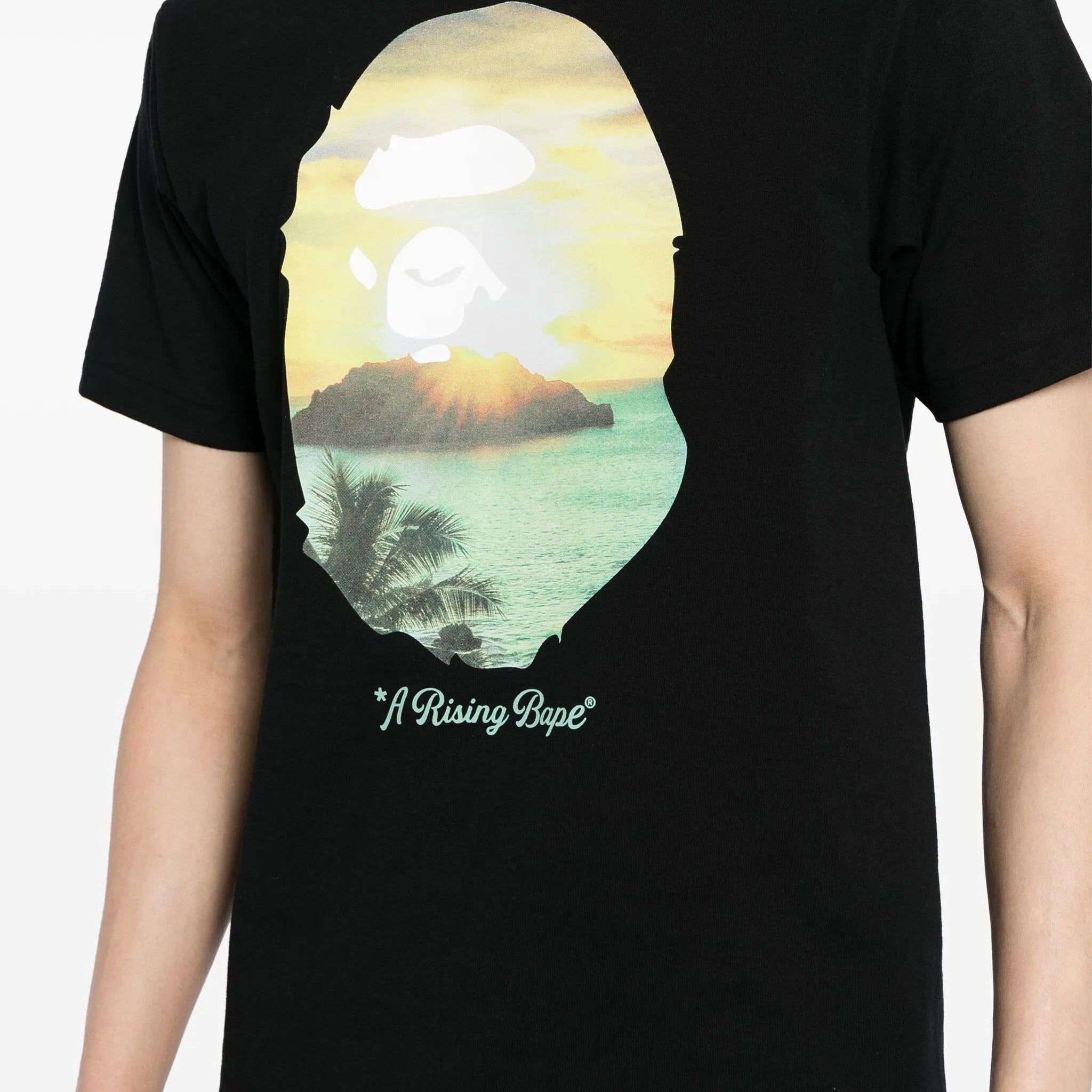 Men Black A Rising Ape Head Printed T-Shirt